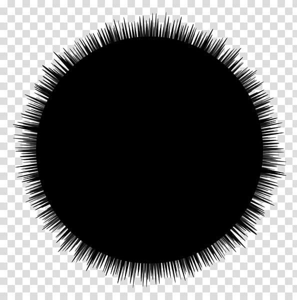 Brush Circle, Eye, Black M, Eyelash, Iris, Cosmetics, Fur transparent background PNG clipart