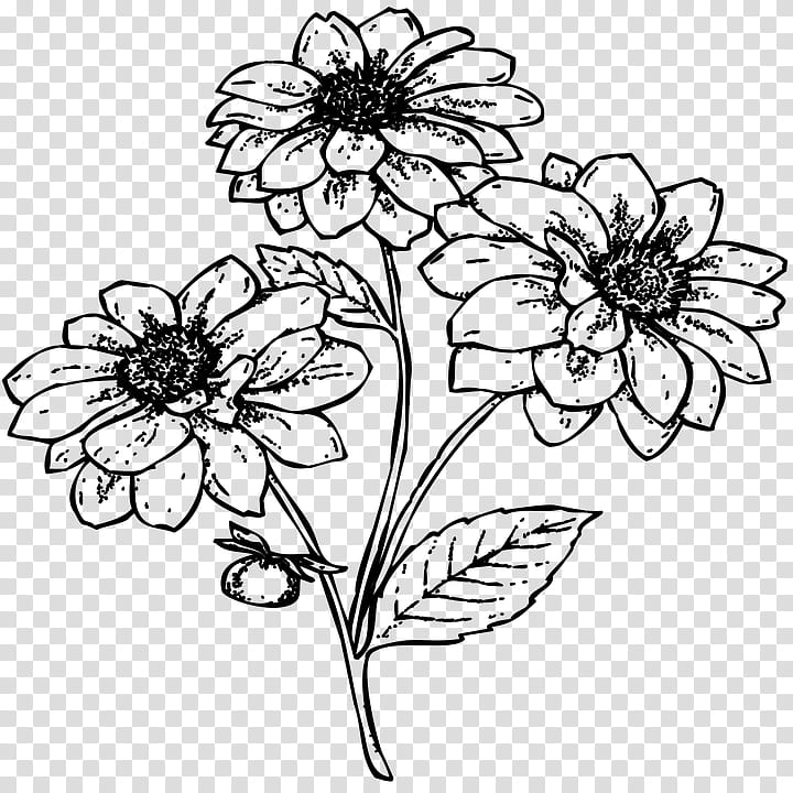 Black And White Flower, Floral Design, Black White M, Drawing, Cut Flowers, Visual Arts, Flower Bouquet, Chrysanthemum transparent background PNG clipart