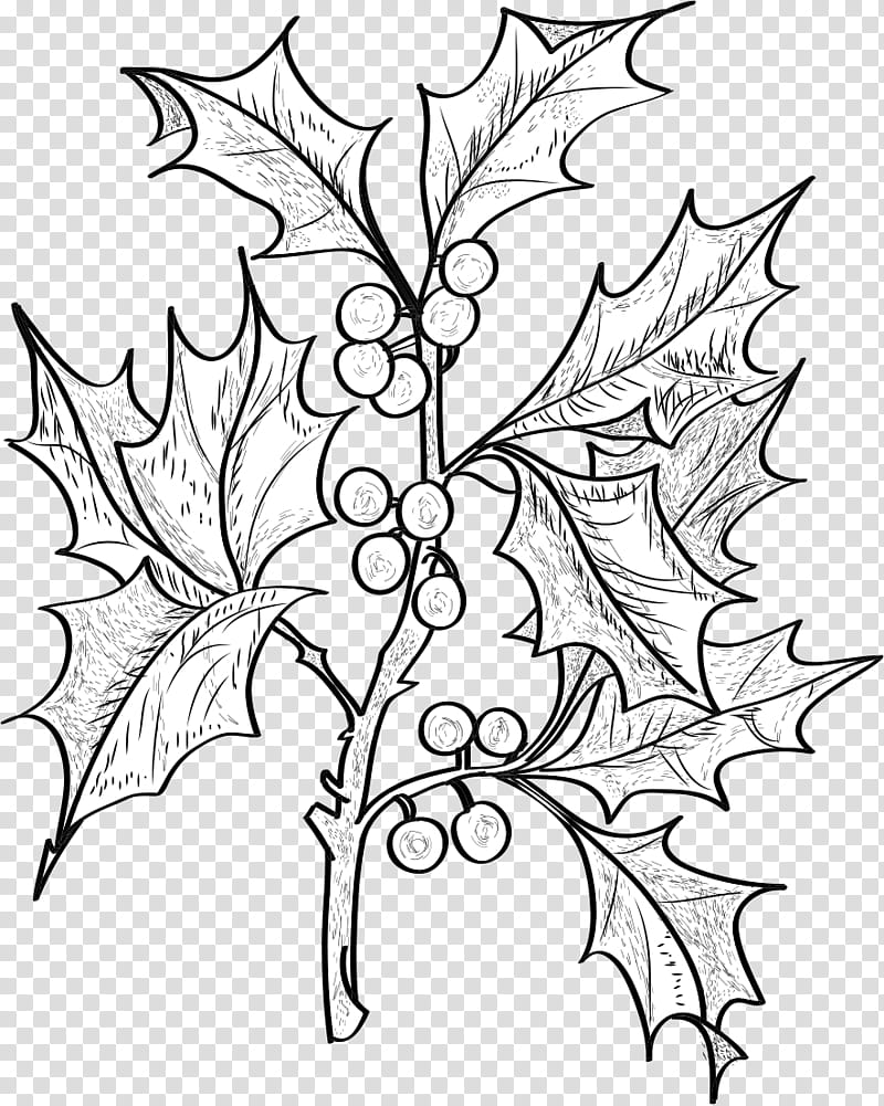 Christmas brushes , black and white mistletoe illustration transparent background PNG clipart