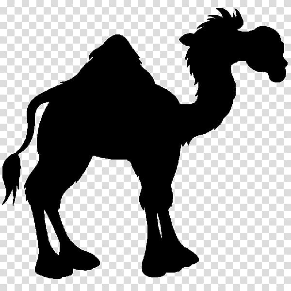 Muhammad, Arabian Peninsula, Battle Of The Camel, Rashidun Caliphate, Battle Of Uhud, Arabic Language, Youtube, Hadrat transparent background PNG clipart