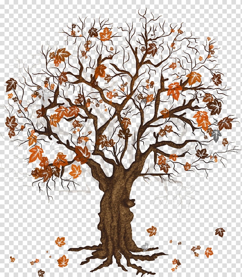 Autumn Winter trees, brown-leafed tree transparent background PNG clipart