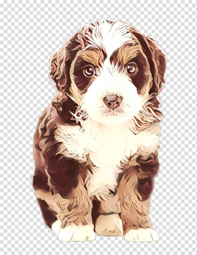 Golden Retriever, Cartoon, Cockapoo, Puppy, Bernese Mountain Dog, Dog Breed, Maltese Dog, Labrador Retriever transparent background PNG clipart