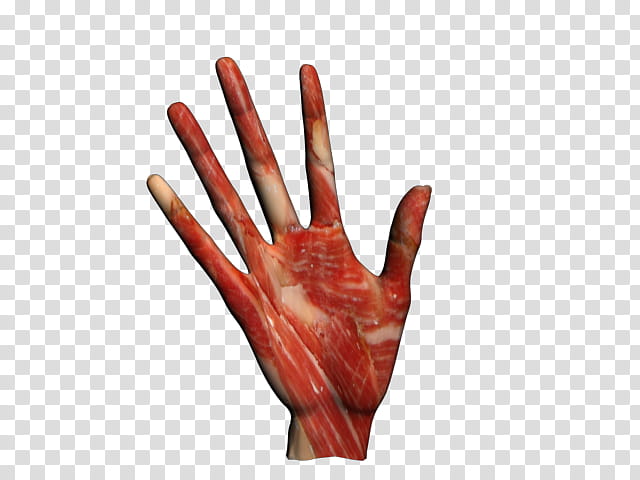 zombie hand, person hand transparent background PNG clipart