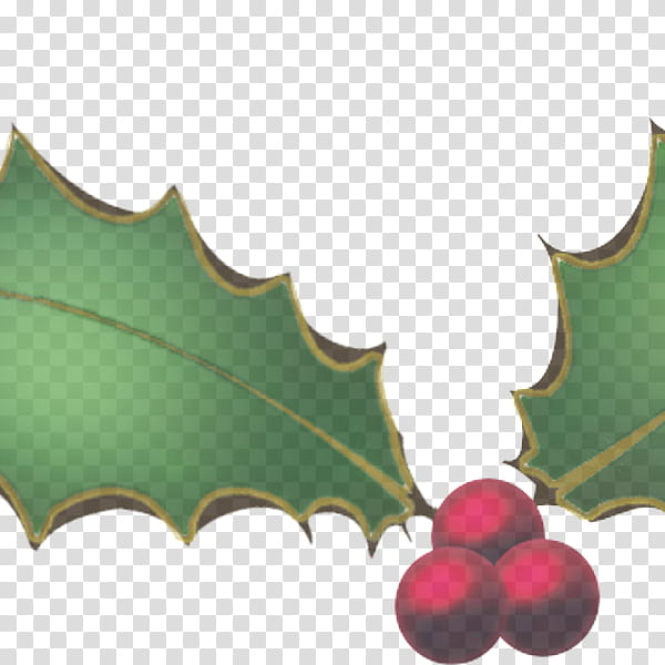 Holly, Leaf, Plant, Tree, Hollyleaf Cherry, Plane, Grape Leaves, Vitis transparent background PNG clipart