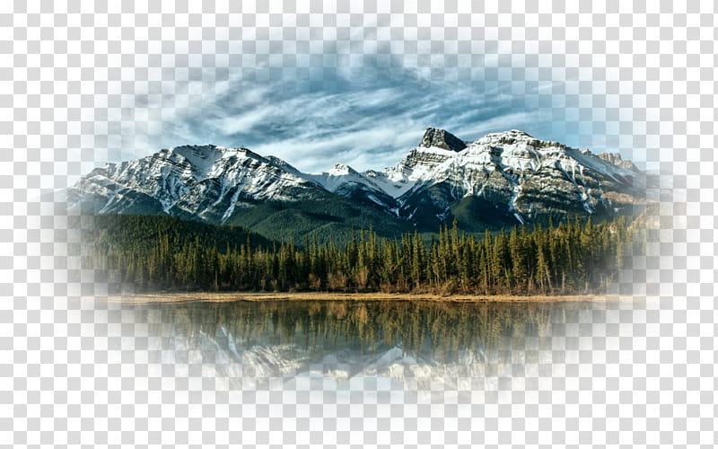 Family Tree, Mountain, IPad 1, Mobile Phones, Mountain Range, Dolomites, Desktop Computers, Mountain Stream transparent background PNG clipart