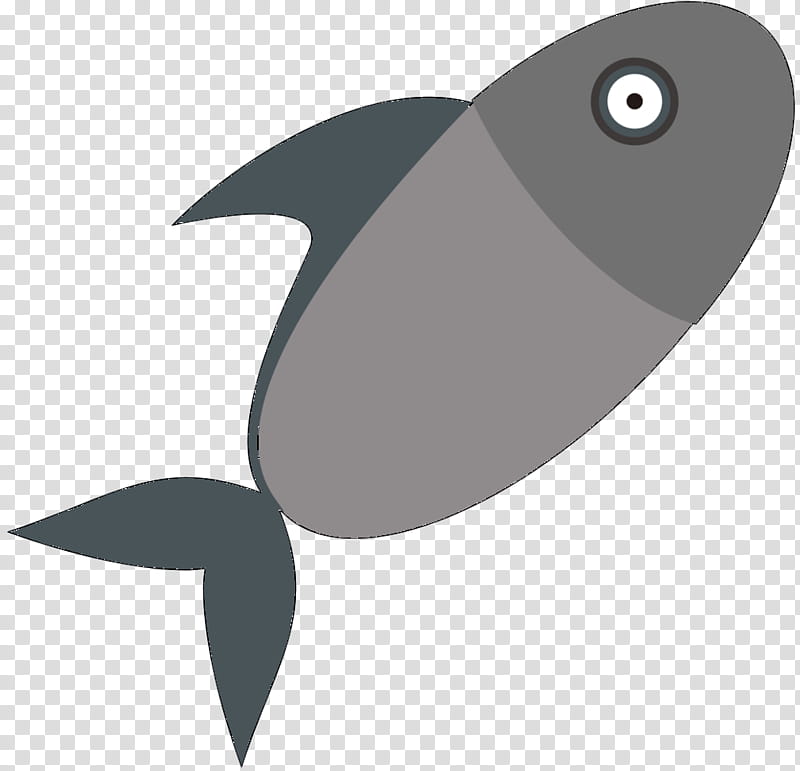 Fish, Beak, Chimney Swift transparent background PNG clipart