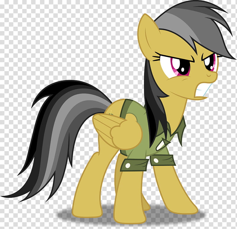 Daring Do transparent background PNG clipart
