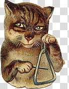 brown cat holding musical triangle and stick transparent background PNG clipart