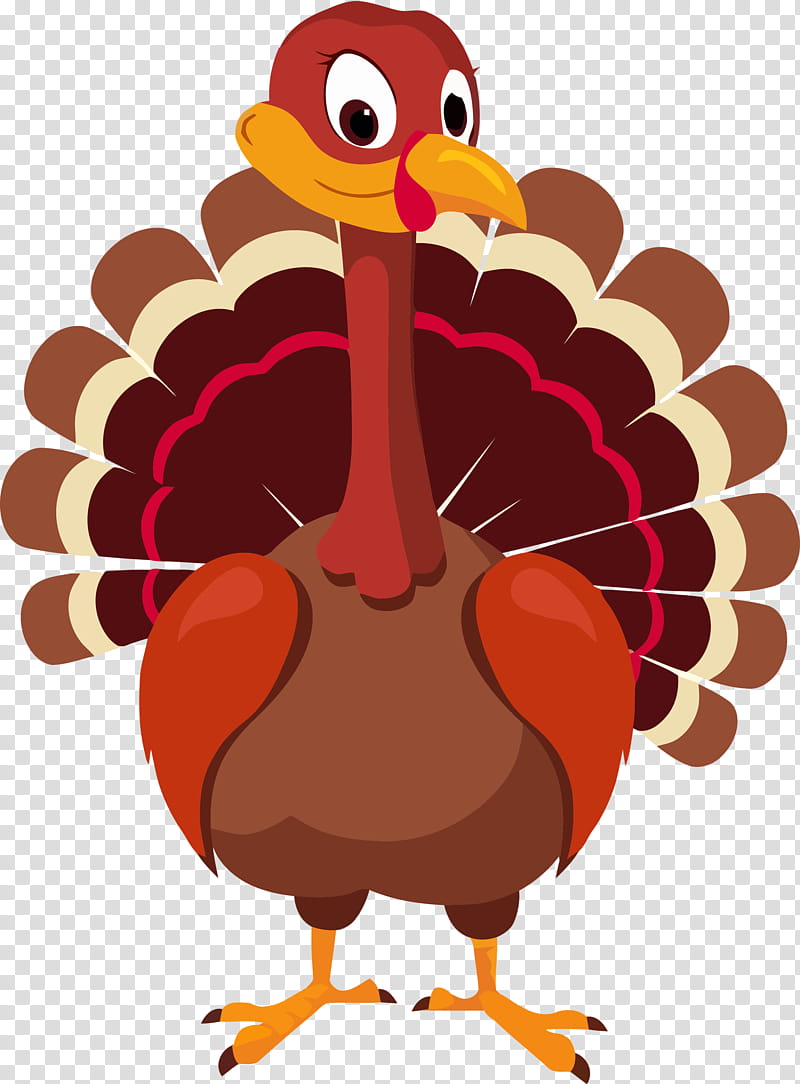 thanksgiving turkey, Thanksgiving Turkey , Bird, Cartoon, Flightless Bird, Beak, Wild Turkey transparent background PNG clipart