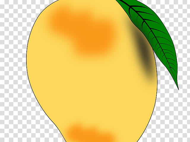 Apple Tree Drawing, Orange, Fruit, Mango, Yellow, Leaf, Plant transparent background PNG clipart