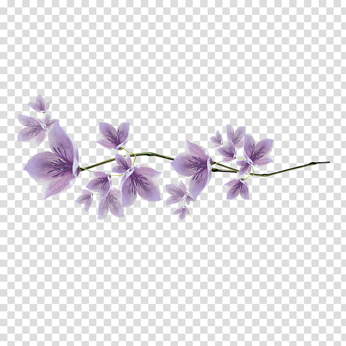 Lavender Flower, Plants, Purple, Ink, Violet, Lilac, Petal, Branch transparent background PNG clipart