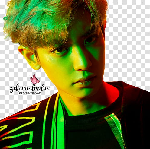 EXO Chanyeol The Power Of Music, man in green and black top transparent background PNG clipart