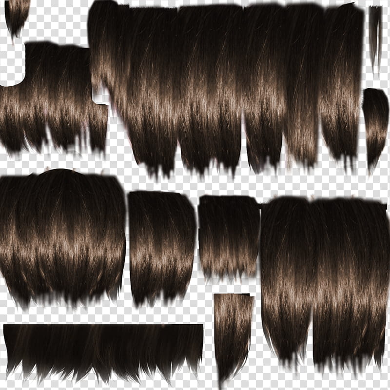 Roblox Hair Extensions Png