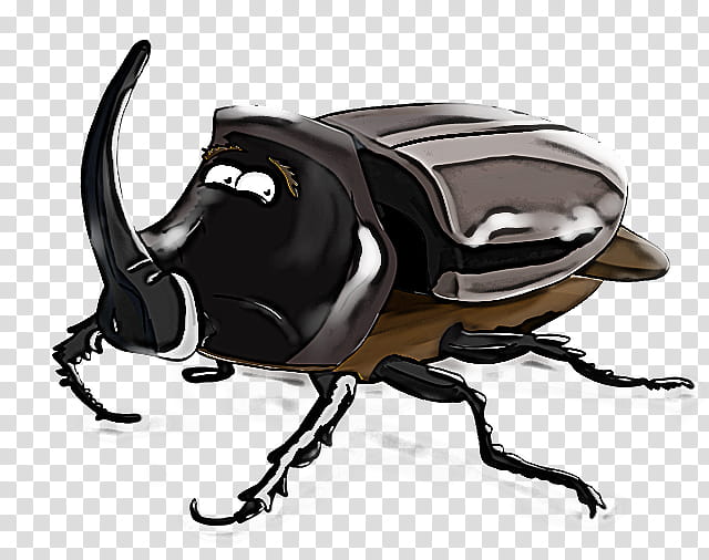 insect japanese rhinoceros beetle rhinoceros beetle beetle scarabs, Stag Beetles, Dung Beetle, Weevil transparent background PNG clipart