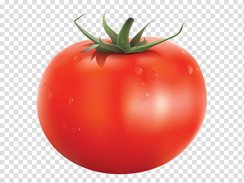 Tomato Vegetable Cherry Tomato Can Roma Tomato Plum Tomato Fruit