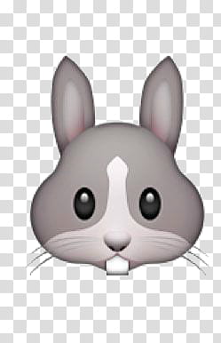 gray bunny head illustration transparent background PNG clipart