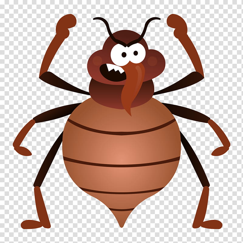 Ant, Insect, Cartoon, Bedbug, Drawing, Comics, Animation, Pest transparent background PNG clipart