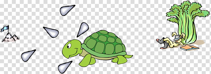 Sea Turtle, Tortoise And The Hare, Teamwork, Rabbit, Presentation, Drawing, Human Resource Management, Cartoon transparent background PNG clipart