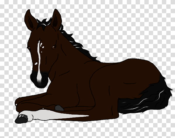 Magnum van de Pandora Ranch, brown and black horse lying illustration transparent background PNG clipart