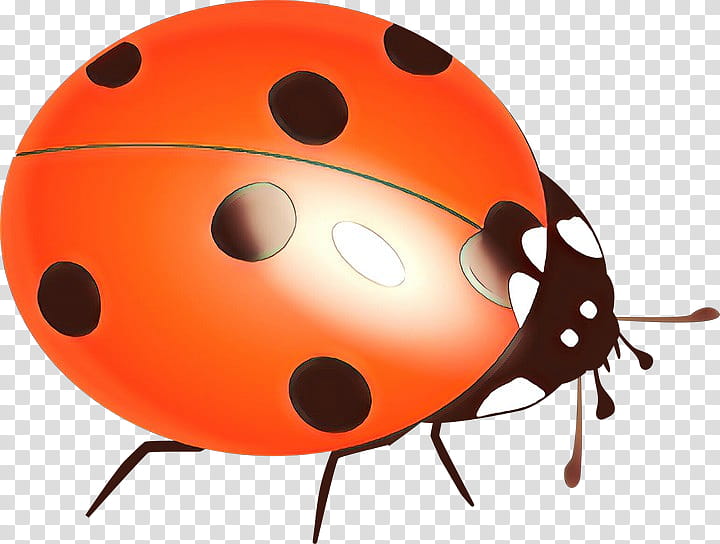 Ladybird, Ladybird Beetle, Insect, Drawing, Cartoon, Ladybug, Orange, Ball transparent background PNG clipart