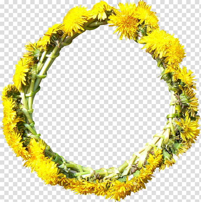 Flower Wreath, Common Dandelion, Drawing, Pansy Wreath, Yellow, Dandelions , Lei, Plant transparent background PNG clipart