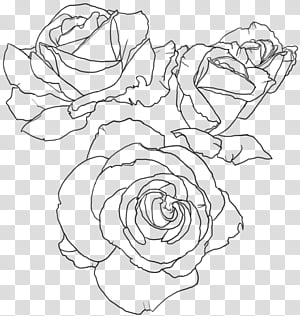 Rose Screentone , gray roses illustration transparent background PNG ...
