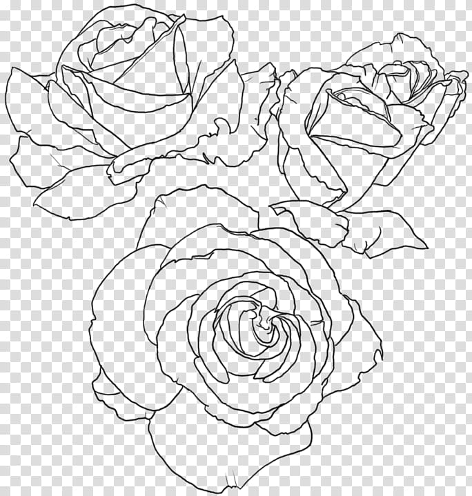 Rose Screentone , three rose flowers illustration transparent background PNG clipart