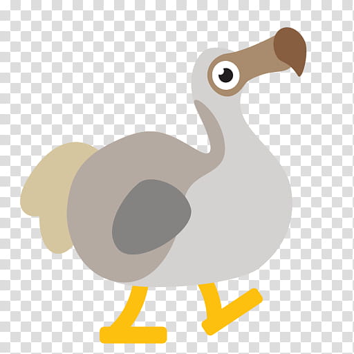 Dodo Bird, Chicken, Beak, Flightless Bird, Cartoon, Chicken As Food, Ostrich, Pigeons And Doves transparent background PNG clipart