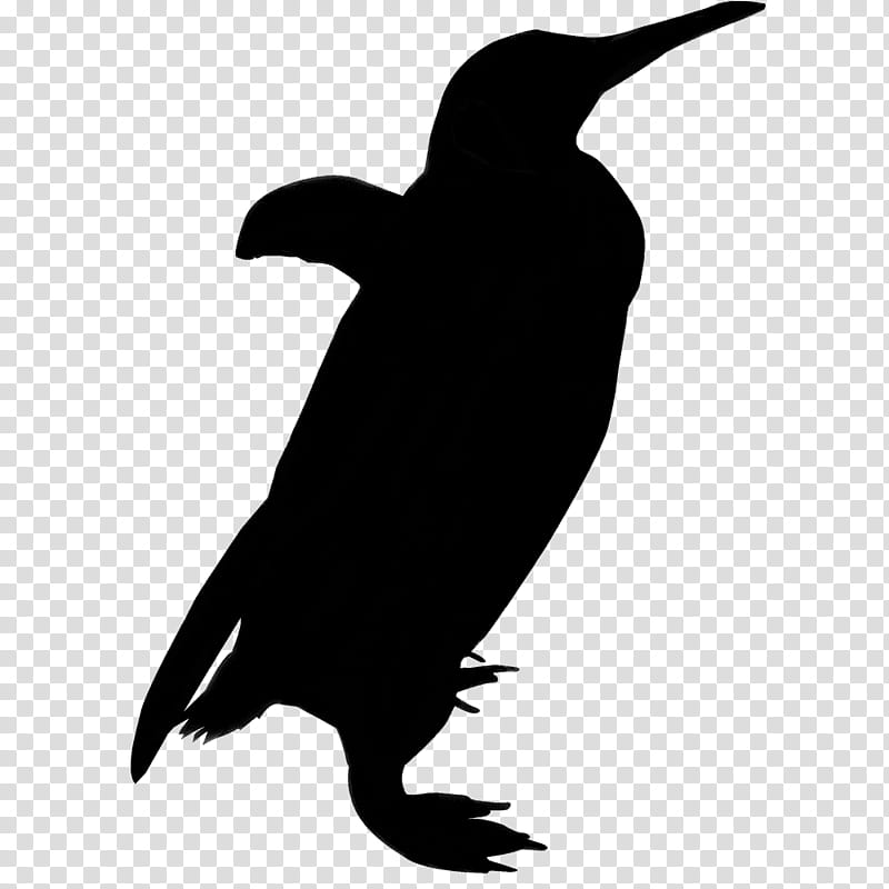 Bird Silhouette, Penguin, Brown Pelican, Great White Pelican, Beak transparent background PNG clipart