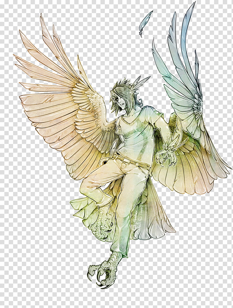 Eagle Bird, Harpy, Bitje, Monster, Drawing, Mythology, Legend, Celeno transparent background PNG clipart