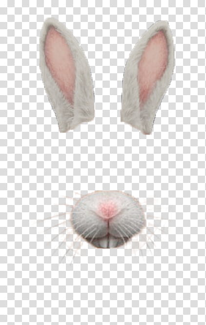 Snapchat psd, rabbit nose and ears transparent background PNG clipart
