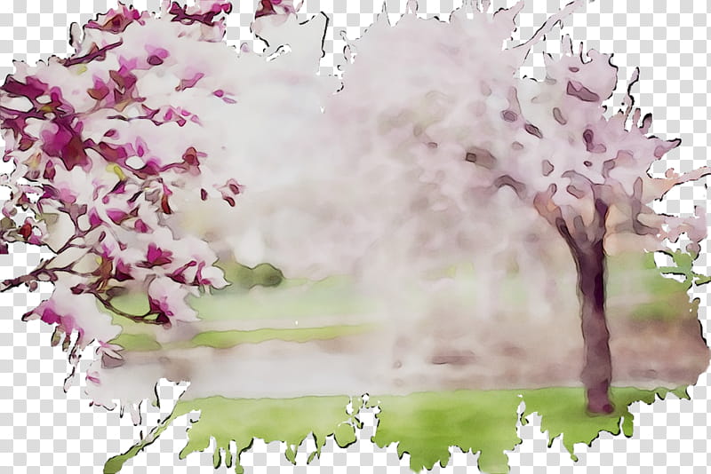 Watercolor Pink Flowers, Cherry Blossom, Stau150 Minvuncnr Ad, Cherries, Floral Design, Computer, Pink M, Plants transparent background PNG clipart