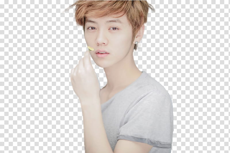 LUHAN, man in gray shirt holding flower transparent background PNG clipart