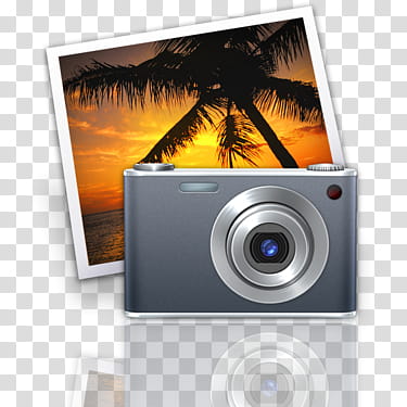 gray point-and-shoot-camera transparent background PNG clipart
