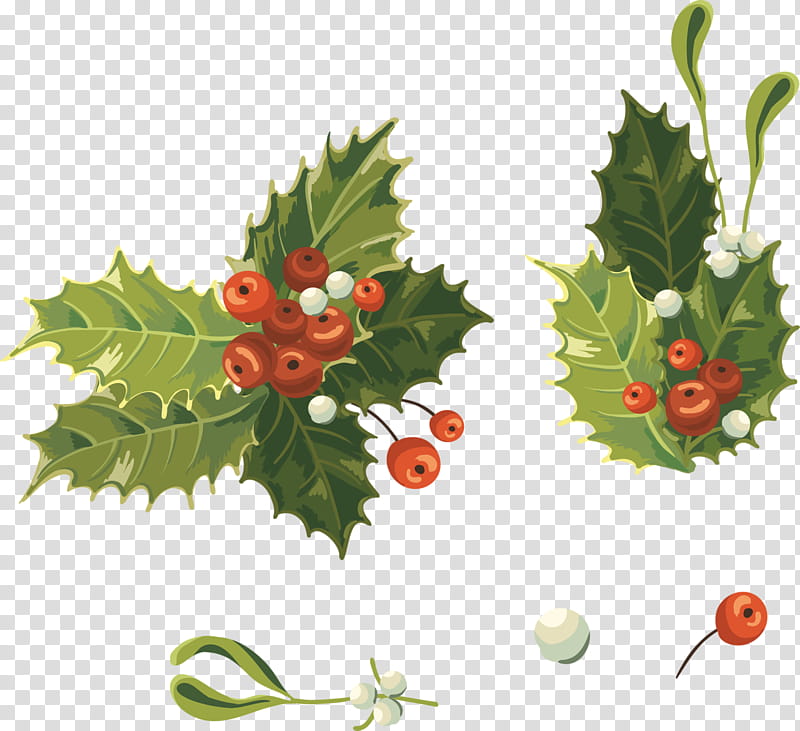 Drawing Christmas Tree, Christmas Day, Canvas Print, Aquifoliaceae, Holly, Fruit, Leaf, Aquifoliales transparent background PNG clipart