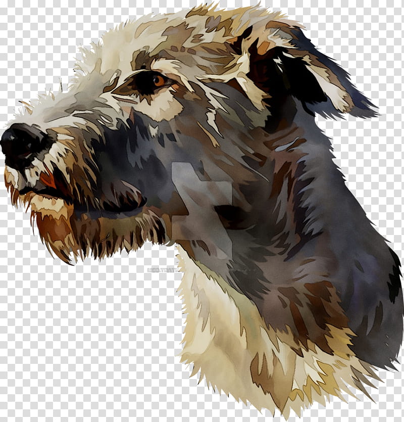 Cartoon Dog, Terrier, Breed, Snout, Crossbreed, Miniature Schnauzer, Irish Wolfhound, Scottish Terrier transparent background PNG clipart