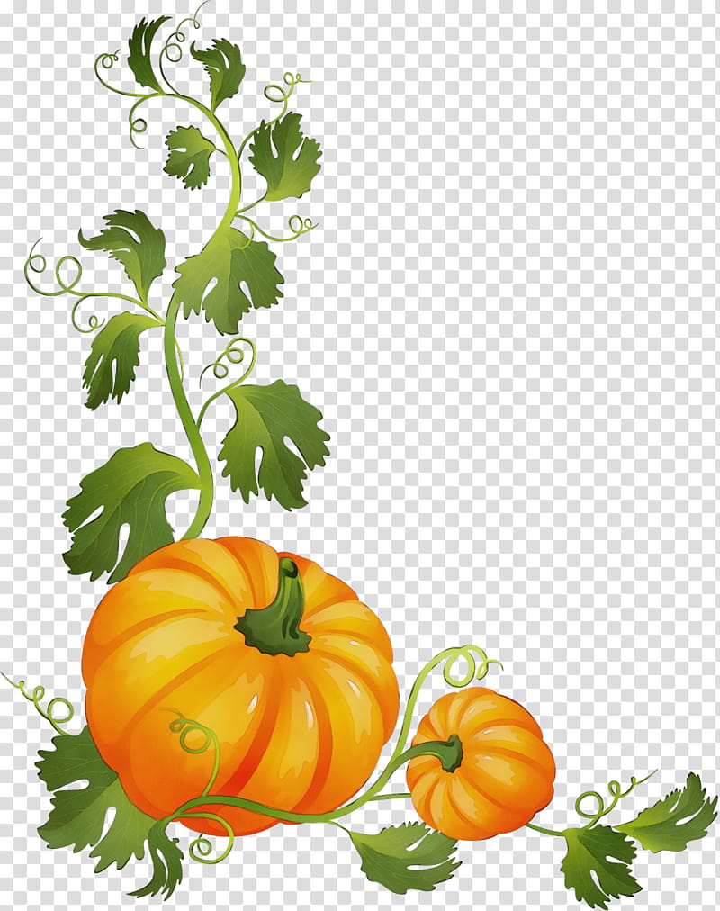 Halloween Pumpkin, Watercolor, Paint, Wet Ink, Drawing, Vine, Celtic Designs, Computer Software transparent background PNG clipart