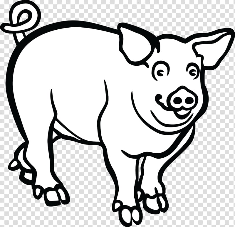 Pig, Large White Pig, Large Black Pig, Middle White, Drawing, Line Art, Cartoon, Wild Boar transparent background PNG clipart
