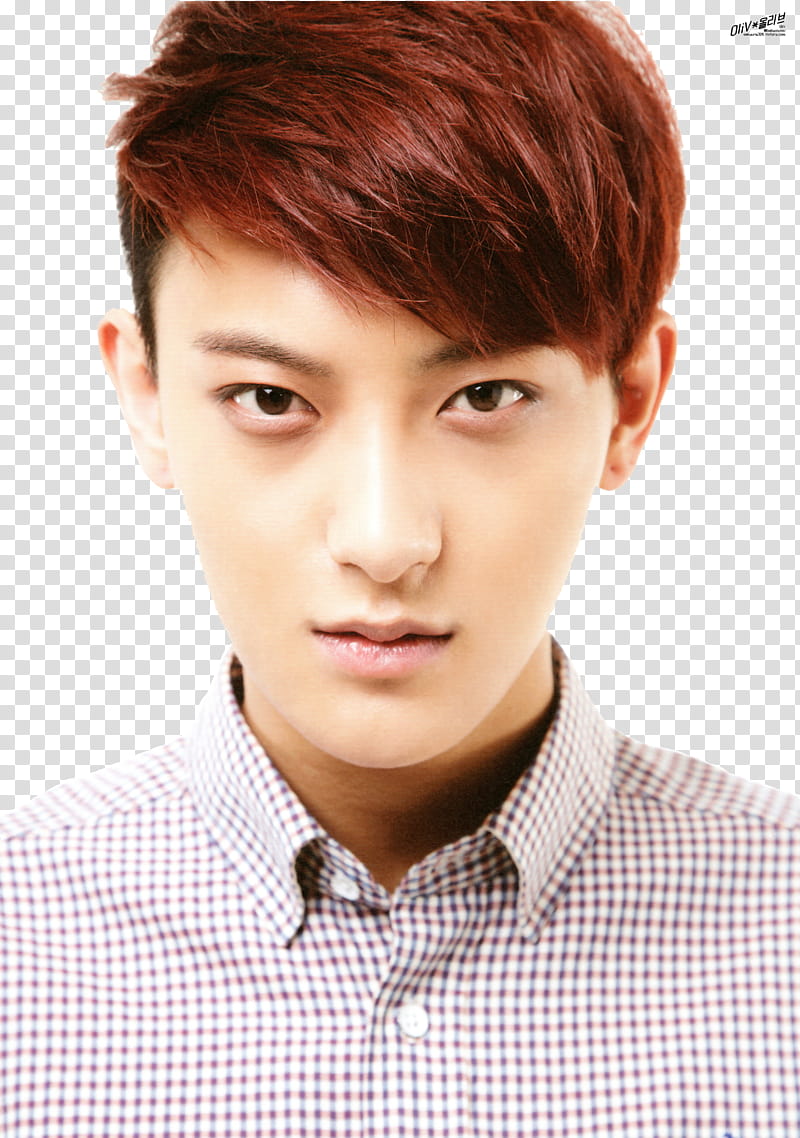 RENDER EXO for SMTOWN Week set, man wearing brown and white collared top transparent background PNG clipart