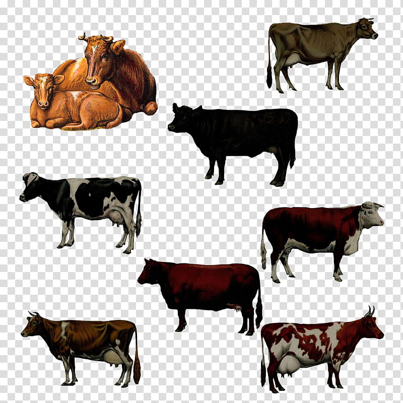Goat, Dairy Cattle, Artist, Ox, Mother, Art By Me, Domestic Animal, Father transparent background PNG clipart