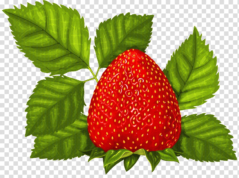 Strawberry, Strawberries, West Indian Raspberry, Plant, Fruit, Leaf, Frutti Di Bosco, Natural Foods transparent background PNG clipart