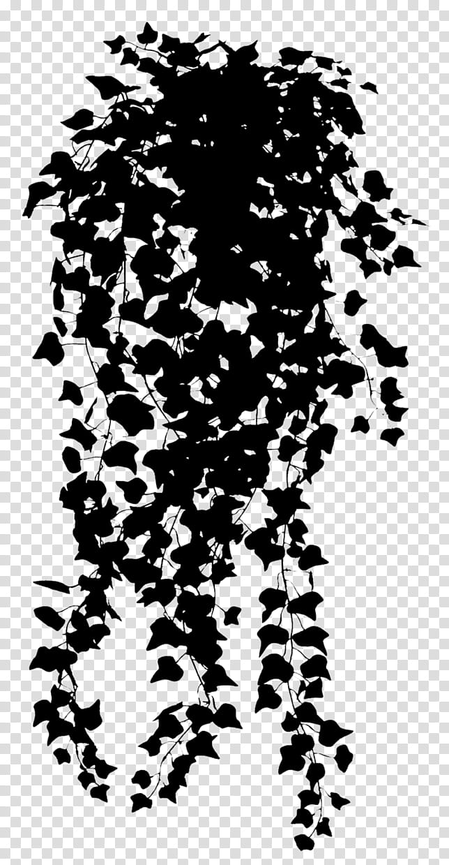 Tree Stencil, Black And White
, Jeju Province, South Chungcheong Province, North Chungcheong Province, Ulsan, Daejeon, Gangwon Province South Korea transparent background PNG clipart