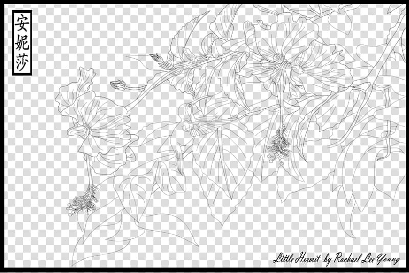 Rachael Lee Young&#;s Little Hermit Lineart transparent background PNG clipart