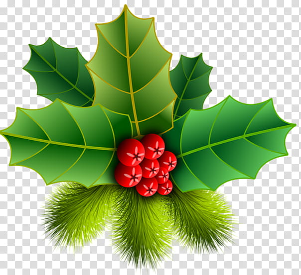 Drawing Christmas Tree, Christmas Day, Common Holly, Art Museum, Leaf, Plant, Flower, Berry transparent background PNG clipart