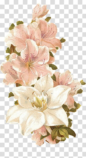 Vintage Flowers, pink flowers transparent background PNG clipart