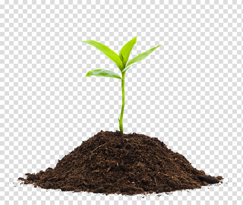 Arbor Day, Compost, Seedling, Fertilisers, Plants, Soil, Agriculture, Mulch transparent background PNG clipart
