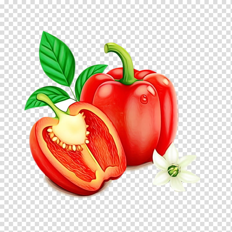 natural foods vegetable bell pepper pimiento bell peppers and chili peppers, Watercolor, Paint, Wet Ink, Plant, Red, Paprika, Capsicum transparent background PNG clipart