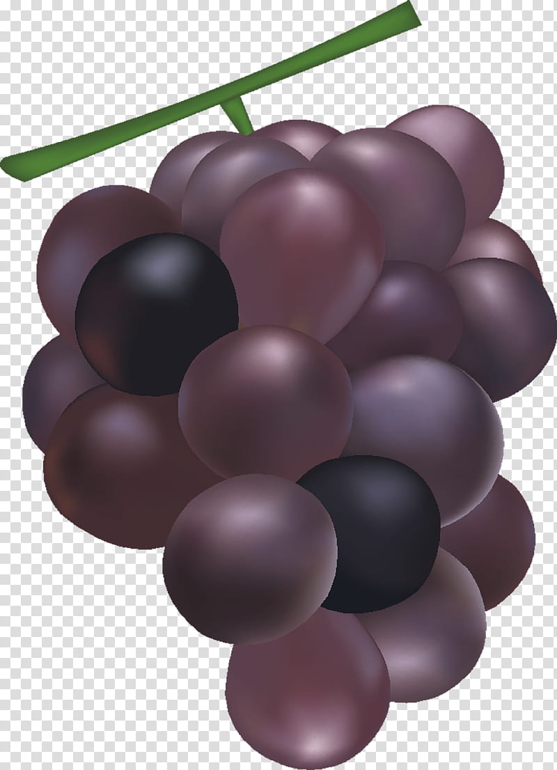 Grape, Fruit, Raisin, Video, Grapevine Family, Vitis, Purple, Plant transparent background PNG clipart