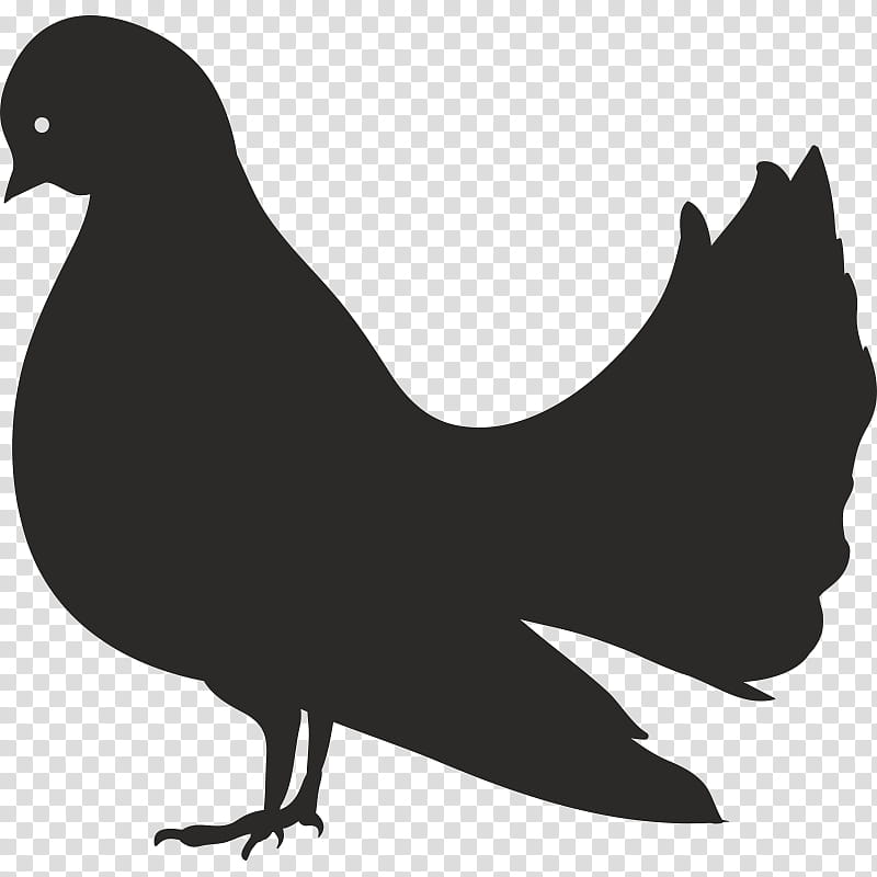 Duck, Rooster, Bird, Chicken, Videoblocks, Black And White
, Silhouette, Beak transparent background PNG clipart