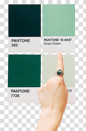 SHARE Pantone JAEXI, person wearing silver-colored black gemstone encrusted cabochon ring transparent background PNG clipart
